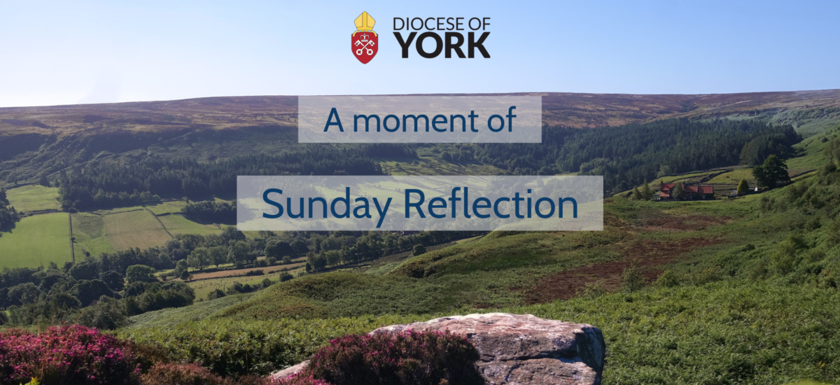 title card for sunday reflections. photo of yorkshire. diocese of york logo in top left. text reads: 'a moment of sunday reflection'.
