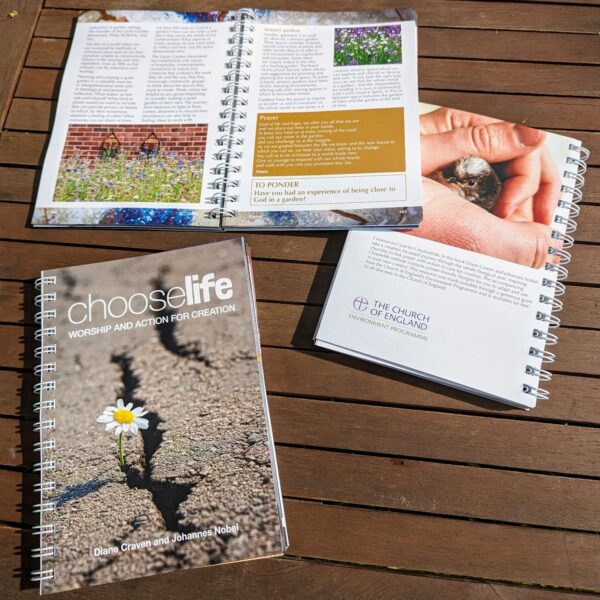 pictures of pages of the choose life resource