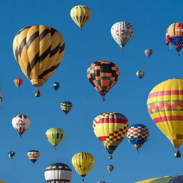 hot air balloons in the sky