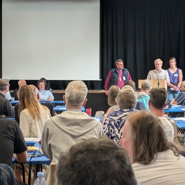 york diocesan synod july 2025