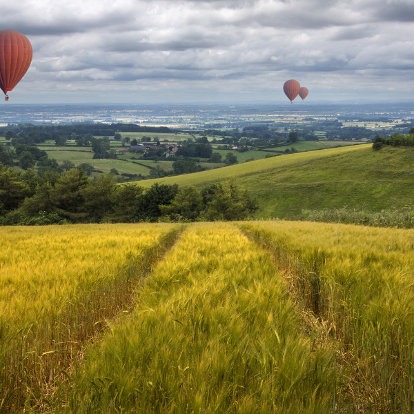 East Riding of York 1