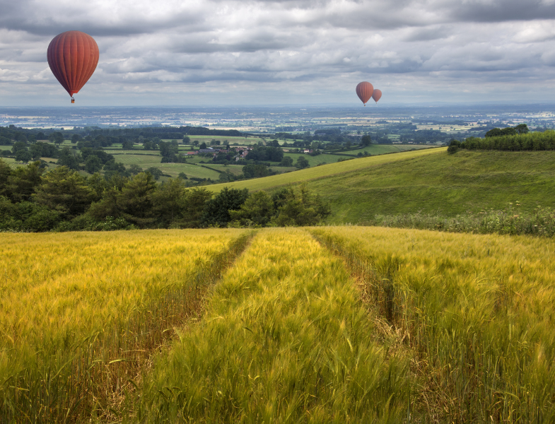 East Riding of York 1